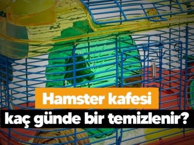 Hamster kafesi kaç günde bir temizlenir?