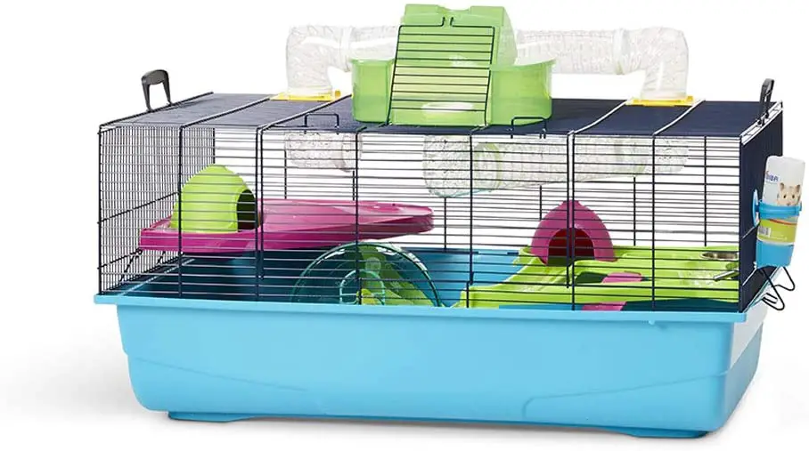 En  popüler hamster kafesleri ve iç dizaynları