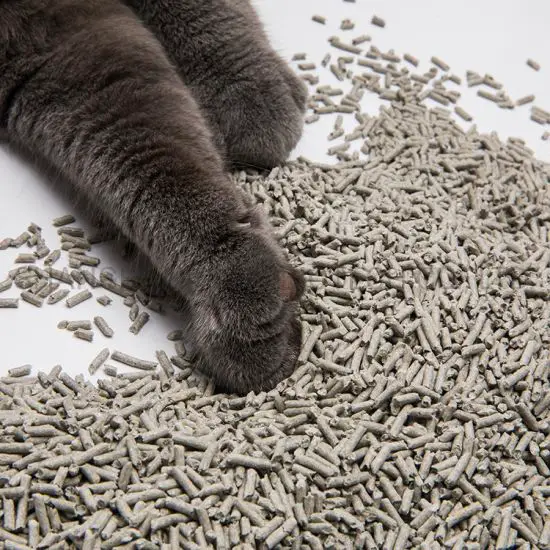 Aktif karbonlu kedi kumu nedir, kedilere zararlı mı?