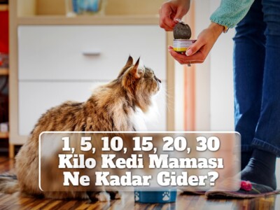 1, 5, 10, 15, 20, 30 Kilo Kedi Maması Ne Kadar Gider?