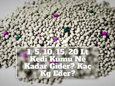 1, 5, 10, 15, 20 Lt Kedi Kumu Ne Kadar Gider? Kaç Kg Eder?