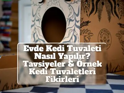 Evde Kedi Tuvaleti Nasıl Yapılır? Tavsiyeler & Örnek Kedi Tuvaletleri Fikirleri