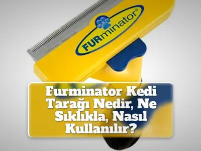 Furminator Kedi Tarağı Nedir, Ne Sıklıkla, Nasıl Kullanılır?