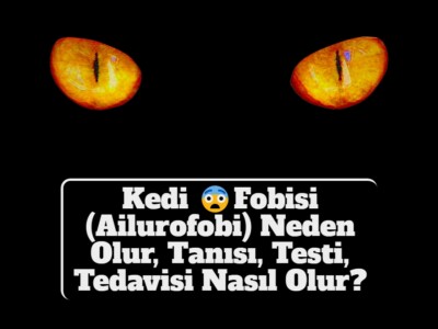 Kedi Fobisi (Ailurofobi) Neden Olur, Tanısı, Testi, Tedavisi Nasıl Olur?