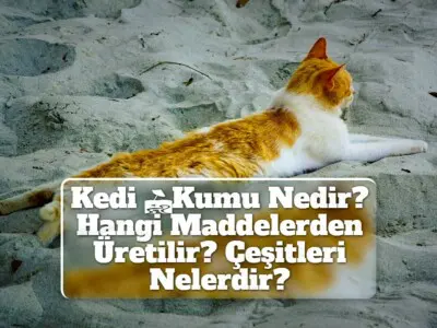 Kedi Kumu Nedir? Hangi Maddelerden Üretilir? Çeşitleri Nelerdir?