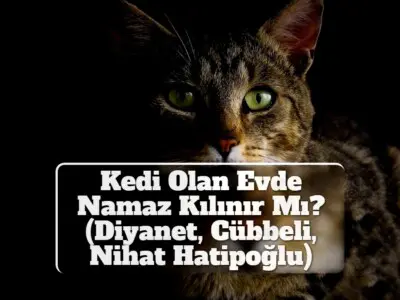 Kedi Olan Evde Namaz Kılınır Mı? (Diyanet, Cübbeli, Nihat Hatipoğlu)