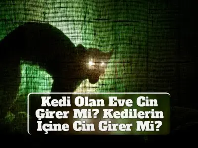 Kedi Olan Eve Cin Girer Mi? Kedilerin İçine Cin Girer Mi?