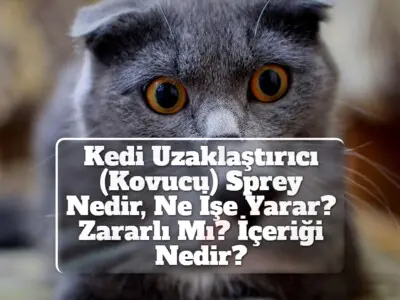 Kedi Uzaklaştırıcı (Kovucu) Sprey Nedir, Ne İşe Yarar? Zararlı Mı? İçeriği Nedir?