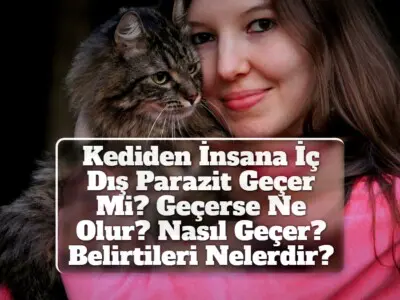 Kediden İnsana İç Dış Parazit Geçer Mi? Geçerse Ne Olur? Nasıl Geçer? Belirtileri Nelerdir?