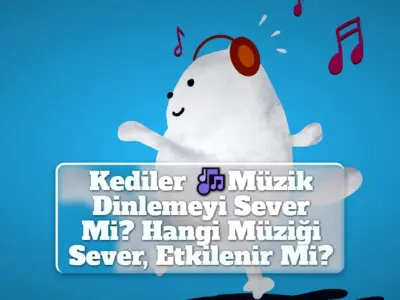 Kediler Müzik Dinlemeyi Sever Mi? Hangi Müzikleri Sever, Etkilenir Mi?