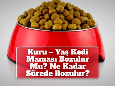 Kuru – Yaş Kedi Maması Bozulur Mu? Ne Kadar Sürede Bozulur?