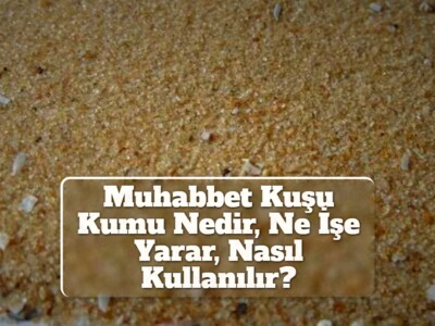 Muhabbet Kuşu Kumu Nedir, Ne İşe Yarar, Nasıl Kullanılır?