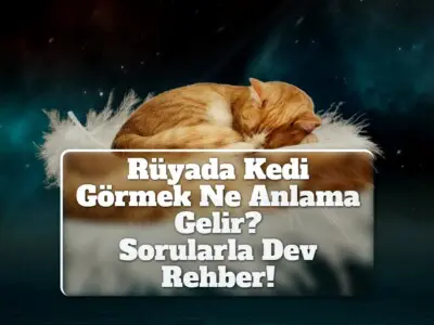 Rüyada Kedi Görmek Ne Anlama Gelir? [Sorularla Dev Rehber!]