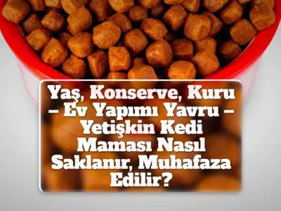 Yaş, Konserve, Kuru – Ev Yapımı Yavru – Yetişkin Kedi Maması Nasıl Saklanır, Muhafaza Edilir?