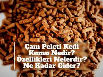 Çam Peleti Kedi Kumu Nedir? Özellikleri Nelerdir? Ne Kadar Gider?