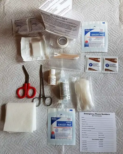 Muhabbet Kuşları İçin Alışveriş ve İhtiyaç Listesi