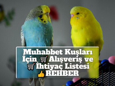 Muhabbet Kuşları İçin Alışveriş ve İhtiyaç Listesi [REHBER]