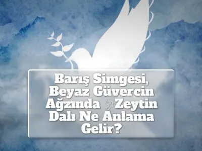 Barış Simgesi, Beyaz Güvercin Ağzında Zeytin Dalı Ne Anlama Gelir? +Detaylı