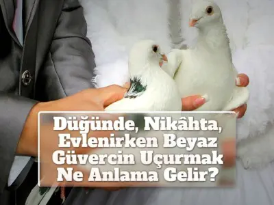 Düğünde, Nikâhta, Evlenirken Beyaz Güvercin Uçurmak Ne Anlama Gelir?