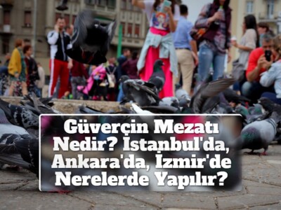 Güvercin Mezatı Nedir? İstanbul’da, Ankara’da, İzmir’de Nerelerde Yapılır?