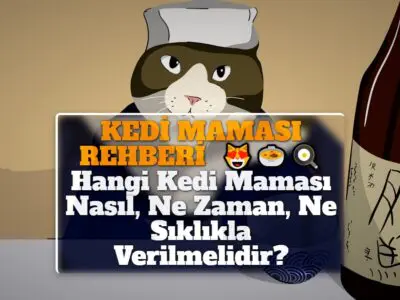 KEDİ MAMASI REHBERİ: Hangi Kedi Maması Nasıl, Ne Zaman, Ne Sıklıkla Verilmelidir?