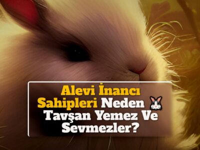 Alevi İnancı Sahipleri Neden Tavşan Yemez Ve Sevmezler?