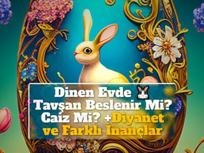 Dinen Evde Tavşan Beslenir Mi? Caiz Mi? +Diyanet ve Farklı İnançlar