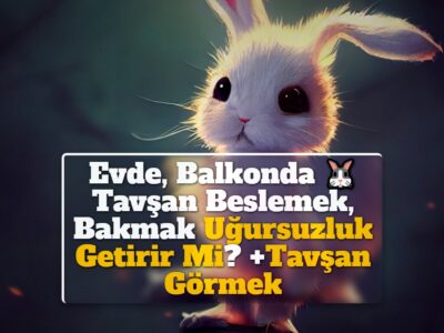 Evde, Balkonda Tavşan Beslemek, Bakmak Uğursuzluk Getirir Mi? +Tavşan Görmek