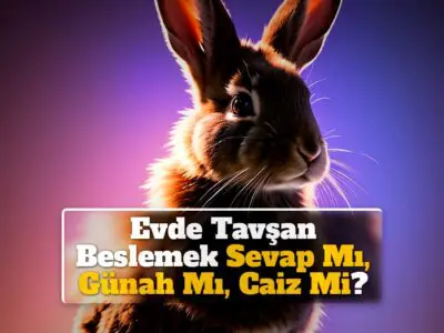 Evde Tavşan Beslemek Sevap Mı, Günah Mı, Caiz Mi?