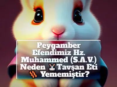 Peygamber Efendimiz Hz. Muhammed (S.A.V.) Neden Tavşan Eti Yememiştir?