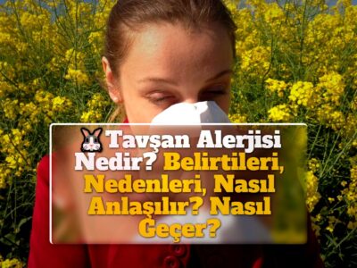 Tavşan Alerjisi Nedir? Belirtileri, Nedenleri, Nasıl Anlaşılır? Nasıl Geçer?