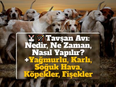 Tavşan Avı: Nedir, Ne Zaman, Nasıl Yapılır? +Yağmurlu, Karlı, Soğuk Hava, Köpekler, Fişekler