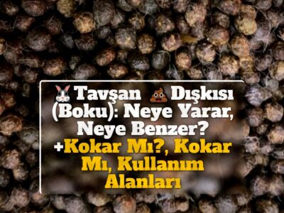 Tavşan Dışkısı (Boku): Neye Yarar, Neye Benzer? +Kokar Mı?, Kokar Mı, Kullanım Alanları