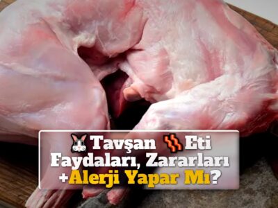 Tavşan Eti Faydaları, Zararları +Alerji Yapar Mı?