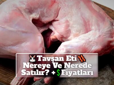 Tavşan Eti Nereye Ve Nerede Satılır? +Fiyatları