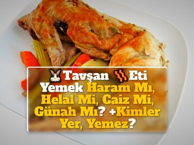 Tavşan Eti Yemek Haram Mı, Helal Mi, Caiz Mi, Günah Mı? +Kimler Yer, Yemez?