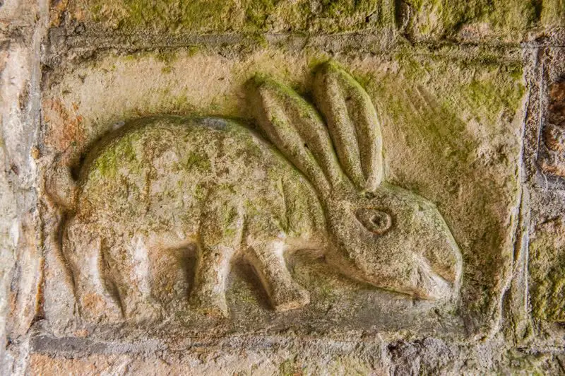 Tavşan İşaretlerinin, Sembollerinin Anlamları +Mitoloji, Kullanıldıkları Yerler
