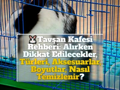 Tavşan Kafesi Rehberi: Alırken Dikkat Edilecekler, Türleri, Aksesuarlar, Boyutlar, Nasıl Temizlenir?