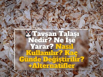 Tavşan Talaşı Nedir? Ne İşe Yarar? Nasıl Kullanılır? Kaç Günde Değiştirilir? +Alternatifler