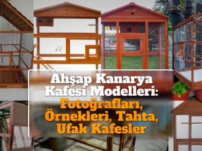 Ahşap Kanarya Kafesi Modelleri: Fotoğrafları, Örnekleri, Tahta, Ufak Kafesler