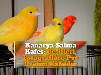 Kanarya Salma Kafes: Çeşitleri, Fotoğrafları, Pvc Üretim Kafesler