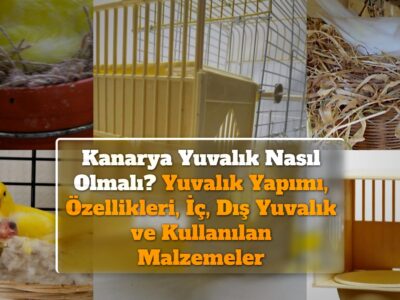 Kanarya Yuvalık Nasıl Olmalı? Yuvalık Yapımı, Özellikleri, İç, Dış Yuvalık ve Kullanılan Malzemeler