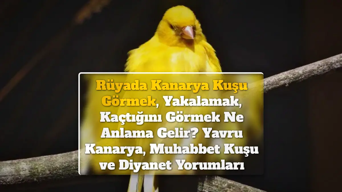 Rüyada Kanarya Kuşu Görmek, Yakalamak, Kaçtığını Görmek Ne Anlama Gelir