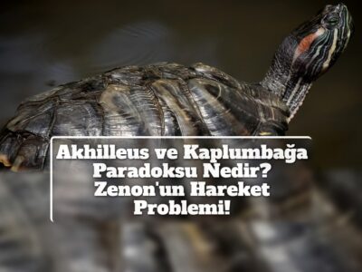 Akhilleus ve Kaplumbağa Paradoksu Nedir? Zenon'un Hareket Problemi!