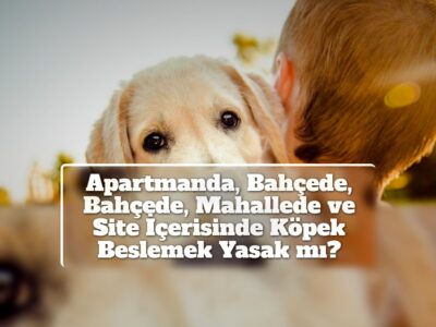 Apartmanda, Bahçede, Bahçede, Mahallede ve Site İçerisinde Köpek Beslemek Yasak mı?