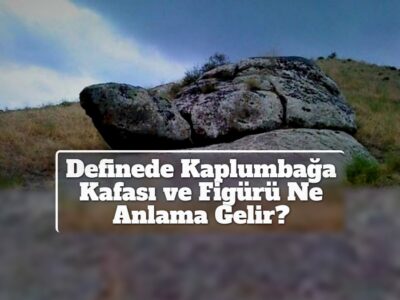 Definede Kaplumbağa Kafası ve Figürü Ne Anlama Gelir?