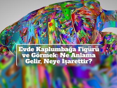 Evde Kaplumbağa Figürü ve Görmek: Ne Anlama Gelir, Neye İşarettir?