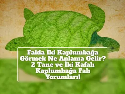 Falda İki Kaplumbağa Görmek Ne Anlama Gelir? 2 Tane ve İki Kafalı Kaplumbağa Falı Yorumları!