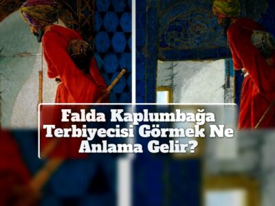 Falda Kaplumbağa Terbiyecisi Görmek Ne Anlama Gelir?