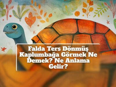 Falda Ters Dönmüş Kaplumbağa Görmek Ne Demek? Ne Anlama Gelir?